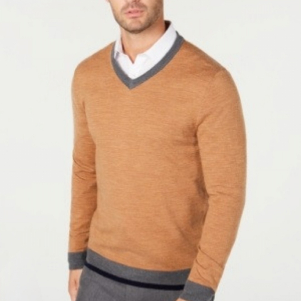 Tasso Elba Sweater